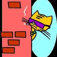 Sohaib Wazir的照片