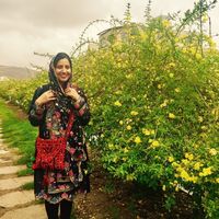 Samira Seyedzadeh's Photo