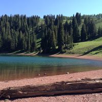 Cory Collard's Photo