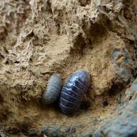 Nai Ibarrola的照片