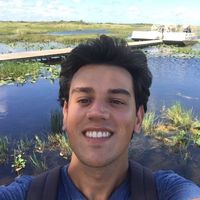 fernando vieira的照片