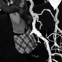 TRANSPERANTIME's Photo