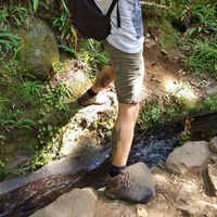 Фотографии пользователя Diego Almeida