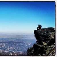 dane francis的照片