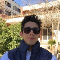 Erfan Ghetmiri的照片