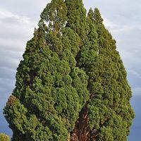 Heydari Amir的照片