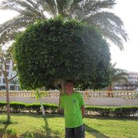 Роман Мамедов's Photo