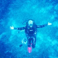 pınar  tüzün的照片