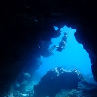 JyunCheng  Chen的照片