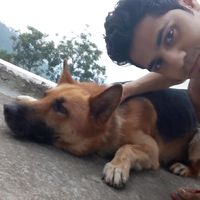 RAJ  CHAUHAN's Photo