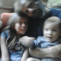 Le foto di Fernando ghergo