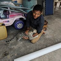 Sandesh Reddy's Photo