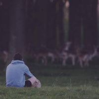 Photos de Sergio Capcha Reye