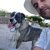 Fotos de Daniel Ferreira