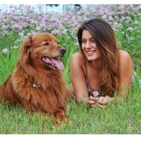 Sam Strauss的照片