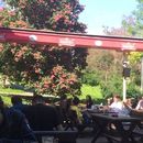 Weekly Thursday International Meet-up's picture