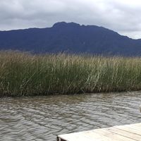 Dillan Karr的照片