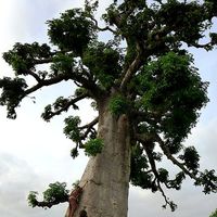 Charlotte Okkes的照片