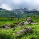 Hike Vitosha Mountain 's picture