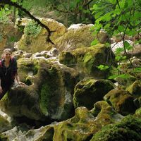 Hazal Tutkan的照片