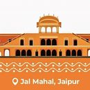 KITE FLYING FESTIVAL @ JAL MAHAL PALACE's picture