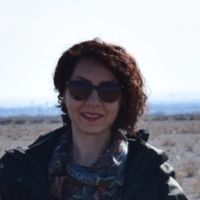 Rahil Sarrafiun的照片