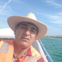 محمود افشارمنش's Photo