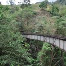 🏴‍☠️🛤️ Hiking: RailRoad In Alban's picture