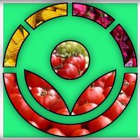 Merendero Minihuertos Net's Photo