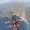 Muhammad Nouman Shahid's Photo
