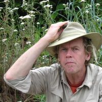 Harry Williams的照片