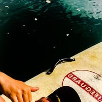 Valerio Fontanarosa's Photo