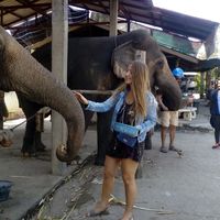 Diana Trivia's Photo