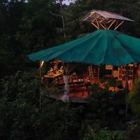 Le foto di Boar Head