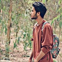 Ali Baba Bhutto's Photo