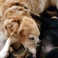 Mike Bradigan's Photo