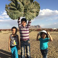 heshmat hajizadeh的照片