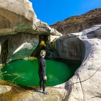 Pickles  Henry's Photo