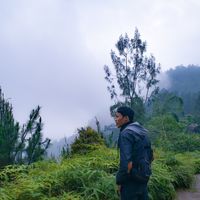 Le foto di Rony Wijaya