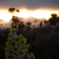 AnaMa Bastidas的照片