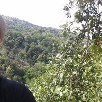 Fabio Barca的照片