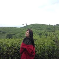 Photos de Sheira Gemiza