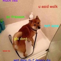 Giulio Scardazza的照片