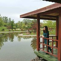 Senem Yazıcı's Photo