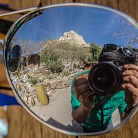 Фотографии пользователя Francisco Naranjo