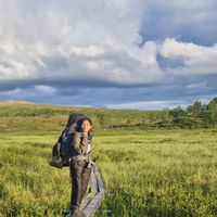 Sevda Dilmaghani的照片