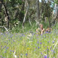 Coretta Nee的照片