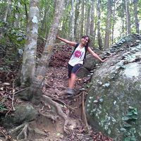 Yingky Jungle的照片