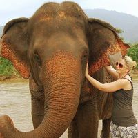 Gill Janson的照片