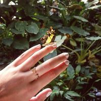 Le foto di Alina Horlova